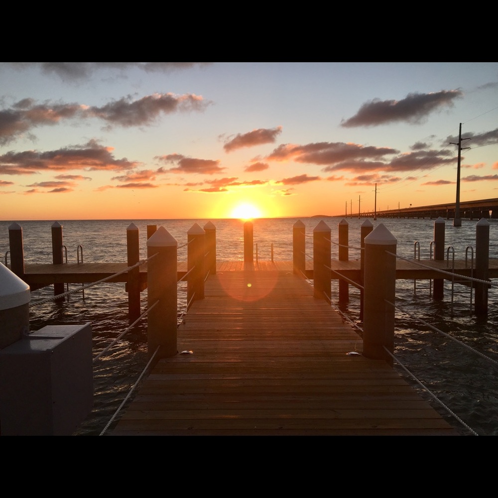 Meet your Posher, Jacqueline